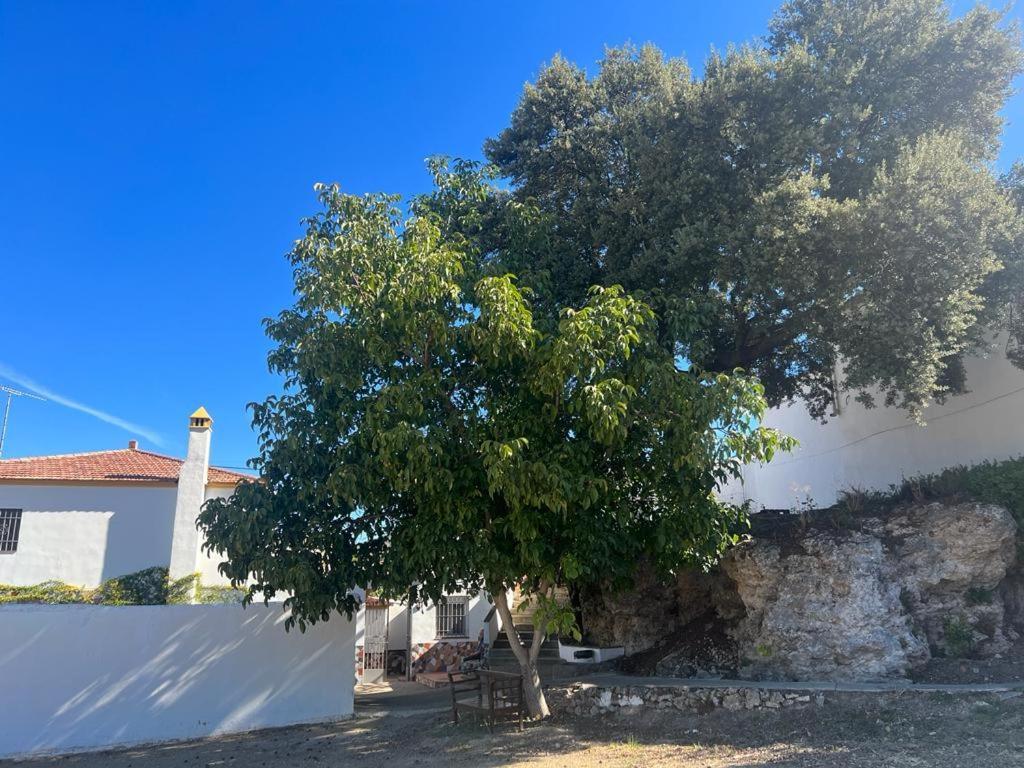 Cuevas del Becerro Alojamiento Rural Huerta Mandre מראה חיצוני תמונה