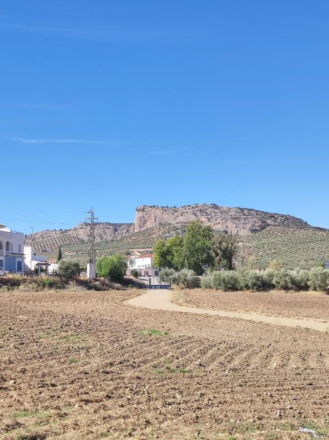 Cuevas del Becerro Alojamiento Rural Huerta Mandre מראה חיצוני תמונה